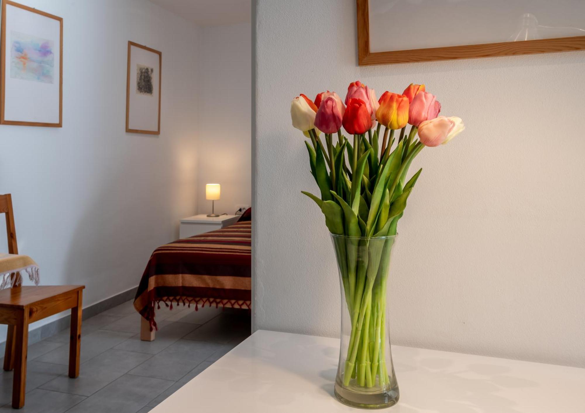 Draga Bašćanska Relax House Rosemary 아파트 외부 사진
